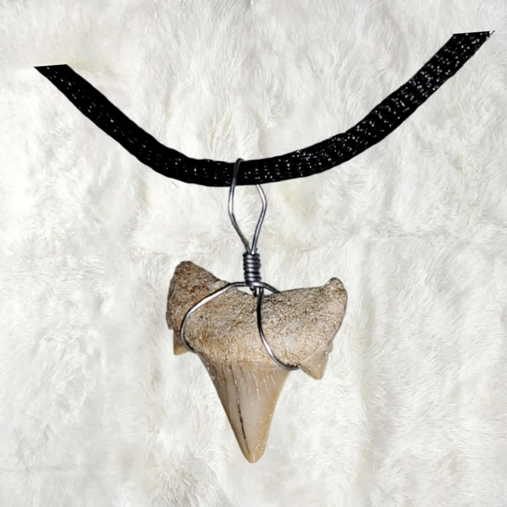 Genuine Fossilized Shark Tooth Pendant w/ Cord Necklace